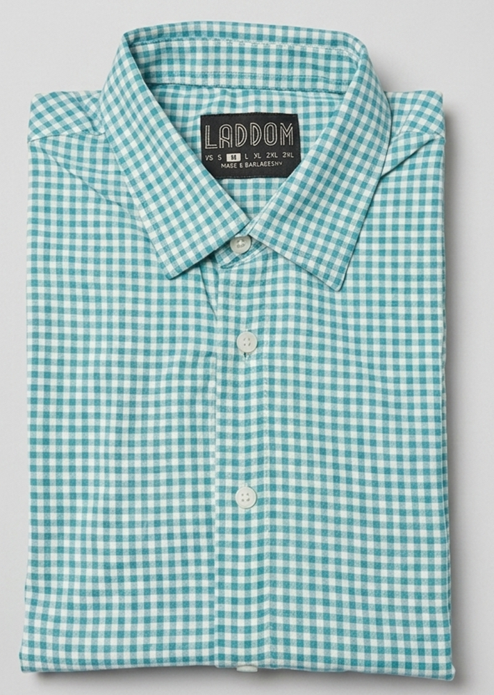 The pull over dress shirt